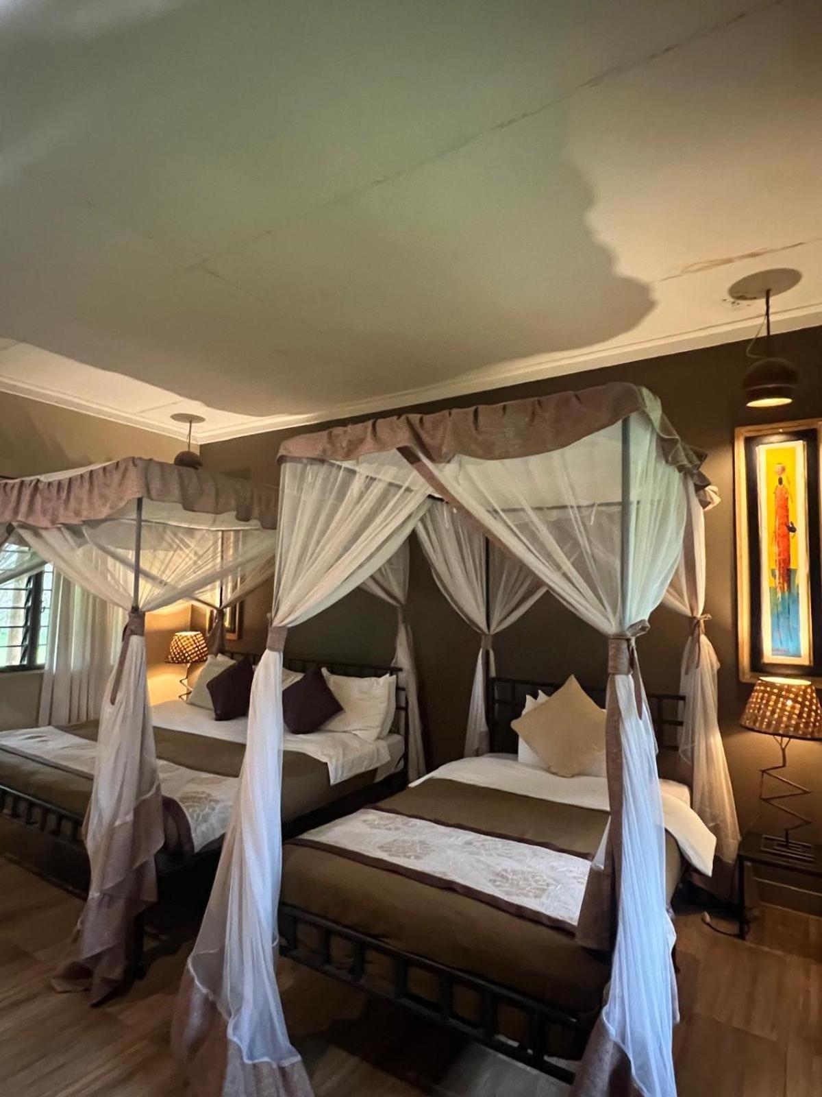Ameg Kilimanjaro